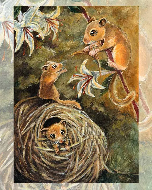 Three of Pentacles / Dormouse Art Print / Animism Tarot